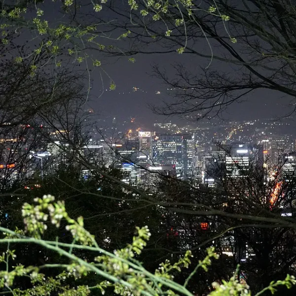 시그니처 소담스튜디오 홈타이 대표 안내 이미지